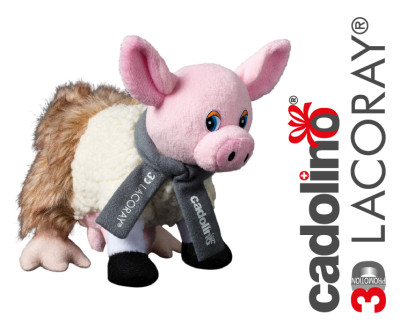 Logo - ComTeam AG cadolino/Lacoray 